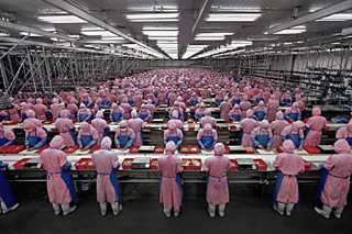 Illustration for article titled How Universal Basic Income Will Save Us From the Robot Uprising
